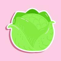 Sticker Cabbage character. Vector hand drawn cartoon kawaii character illustration icon. Isolated on pink background. Cabbage character concept