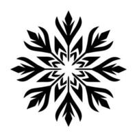 Beautiful Christmas Snowflake vector