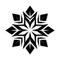 Beautiful Christmas Snowflake vector