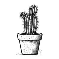 Beautiful Cactus Silhouette vector