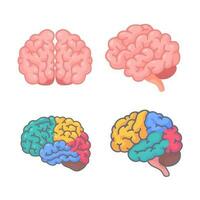 Human brain jagged. The concept of developing learning and creativity skills. vector