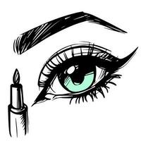 ilustración de un ojo y pestañas bosquejo. vector de un negro y blanco dibujo con maquillaje y productos cosméticos