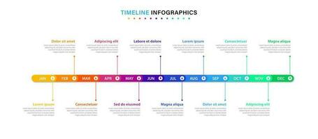 infografía cronograma modelo para 1 año. negocio infografía cronograma diseño con 12 pasos o opciones lata ser usado para flujos de trabajo, calendario diseños, diagramas, presentaciones vector ilustración