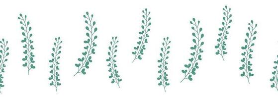 Leaves decorative, algae horizontal border seamless pattern vector