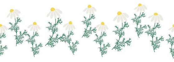 Chamomile horizontal border seamless pattern vector