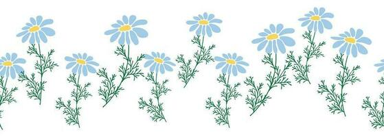 Chamomile horizontal border seamless pattern vector