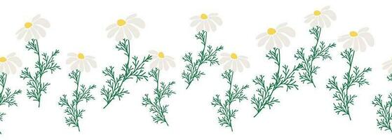 Chamomile horizontal border seamless pattern vector