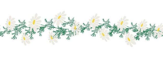 Chamomile horizontal border seamless pattern vector