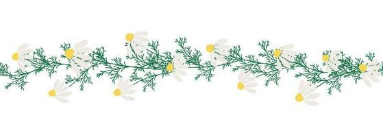 Chamomile horizontal border seamless pattern vector