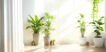 Peaceful interior background with soft cream white walls and potted plant. AI Generated photo