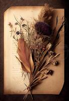 Photo dried flowers and plants over antique vintage card.