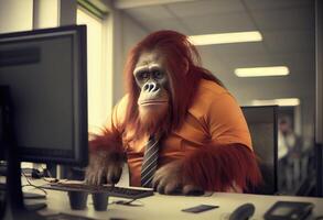 Portrait of an anthropomorphic orangutan as a developer in the office. . photo