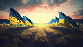 Field of Ukrainian flags at Sunset. . photo