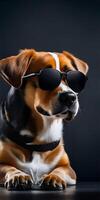 Dog with sunglasses on dark background. photo