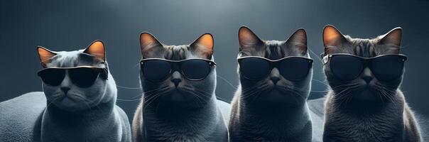 gatos con Gafas de sol en oscuro antecedentes. ai generado foto