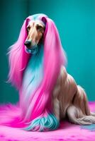 Afghan Hound with pink fur sitting on turquoise background. AI Generated photo