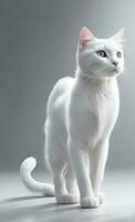 White cat on a grey background. AI Generated photo
