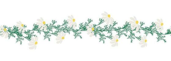 Chamomile horizontal border seamless pattern vector