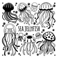Black and white vector set of jellyfish. Underwater creatures. Sketch of medusa. Hand drawn floating sea and ocean animals isolated on white background.