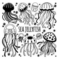 Black and white vector set of jellyfish. Underwater creatures. Sketch of medusa. Hand drawn floating sea and ocean animals isolated on white background.