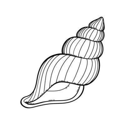 Seashell Vector Art Icons and Graphics for Free Download Seashell Vector Art Icons and Graphics for Free Download