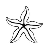 Black and white sketch of starfish. Sea star. Undersea creature. Monochrome vector clipart of ocean animal isolated on a white background.