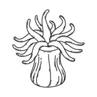 Black and white outline of sea anemone. Actinia. Underwater creature. Monochrome vector clipart of ocean animal isolated on a white background. Illustration on a nautical theme.