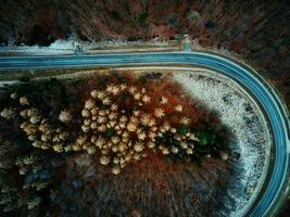 paisaje con camino sinuoso a través del bosque, vista aérea foto