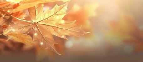 Beautiful autumn leaves background illustration. AI Generated photo
