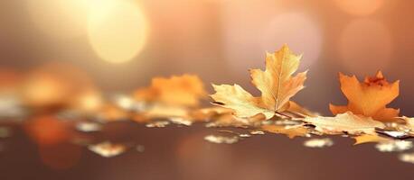 Beautiful autumn leaves background illustration. photo