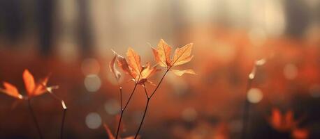 hermosa otoño hojas en borroso antecedentes. ai generado foto