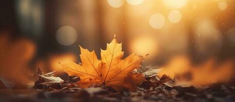 Beautiful autumn leaves on blurred background. AI Generated photo