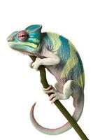 Green chameleon resting on branch. AI generated photo