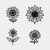 set of Sunflowers vector isolated on white background