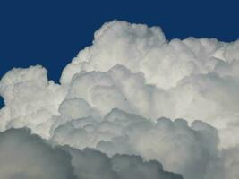 Big white clouds against a blue sky. Bird in flight photo