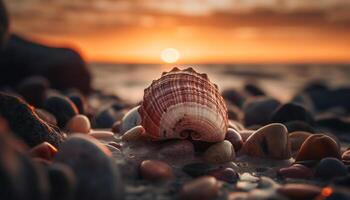 concha en Guijarro playa, verano puesta de sol belleza generado por ai foto