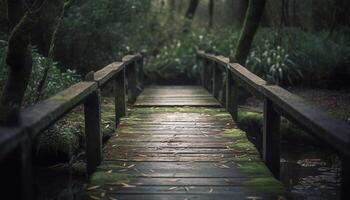 Elevated walkway through tropical rainforest, timber plank bridge generated by AI photo