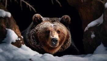 mojado oso pardo oso caminando en ártico desierto generado por ai foto