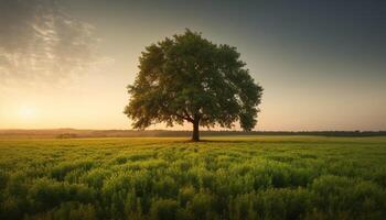 cosecha trigo a amanecer, Fresco otoño Mañana generado por ai foto