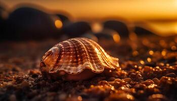 Shiny spiral conch shell, a souvenir from tropical vacations generated by AI photo