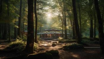 Tranquil forest footpath, autumn leaves, pine trees, sunlight, peaceful beauty generated by AI photo