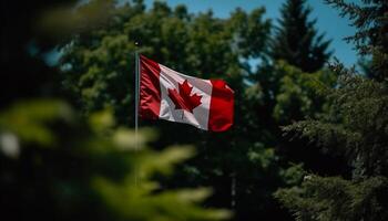 Maple leaf waving on Canadian flag branch generated by AI photo