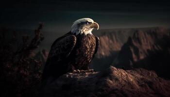 Majestic bald eagle perching on tree branch generated by AI photo