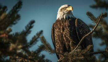 majestuoso calvo águila encaramado en árbol rama generado por ai foto