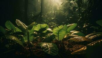 Vibrant green ferns adorn wet forest floor generated by AI photo