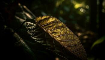Vibrant autumn leaf growth in forest macro generated by AI photo