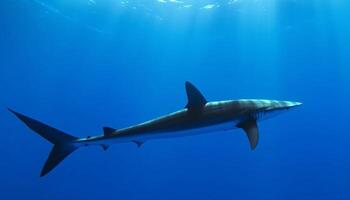 Majestic dolphin swimming in tropical reef, endangered species in motion generated by AI photo