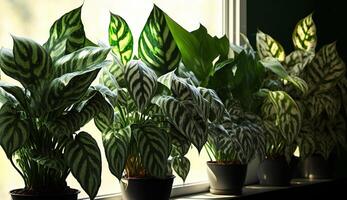 Plant growth nature indoors Green leaves freshness generated by AI photo