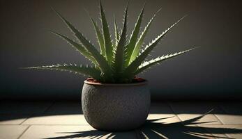 Organic growth of indoor houseplant on wooden surface generated by AI photo