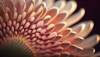Close up of nature beauty macro flower petal generated by AI photo